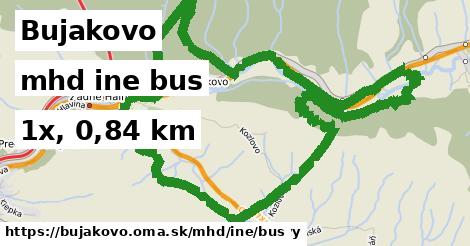 Bujakovo Doprava iná bus