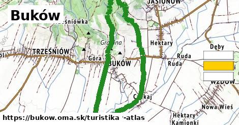 Buków Turistické trasy  