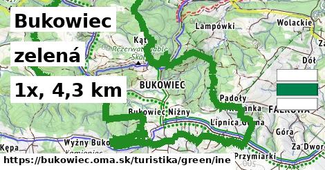 Bukowiec Turistické trasy zelená iná