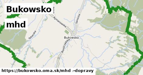 Bukowsko Doprava  