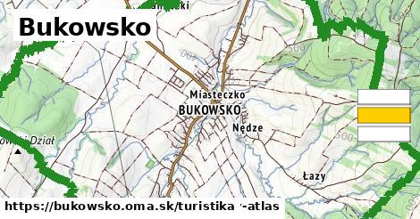 Bukowsko Turistické trasy  