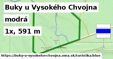 Buky u Vysokého Chvojna Turistické trasy modrá 