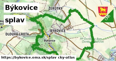 Býkovice Splav  