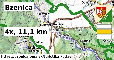 Bzenica Turistické trasy  