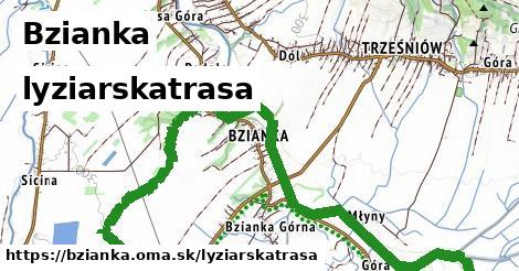 Bzianka Lyžiarske trasy  
