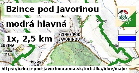 Bzince pod Javorinou Turistické trasy modrá hlavná