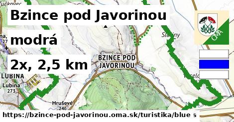 Bzince pod Javorinou Turistické trasy modrá 