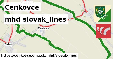 Čenkovce Doprava slovak-lines 