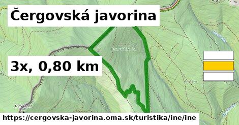 Čergovská javorina Turistické trasy iná iná