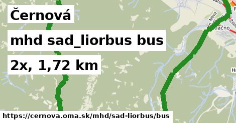 Černová Doprava sad-liorbus bus