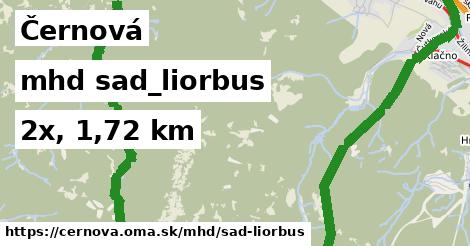 Černová Doprava sad-liorbus 