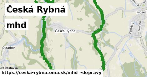 Česká Rybná Doprava  