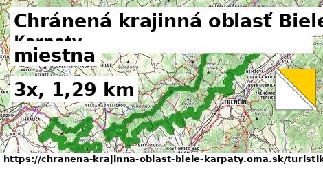 Chránená krajinná oblasť Biele Karpaty Turistické trasy miestna 