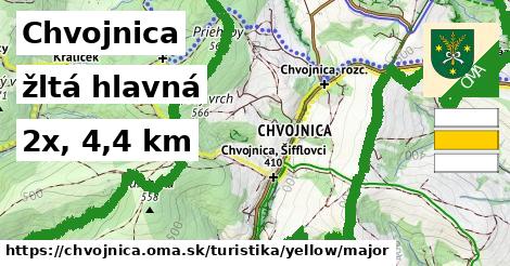 Chvojnica Turistické trasy žltá hlavná