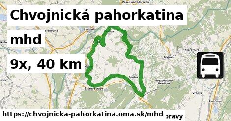 Chvojnická pahorkatina Doprava  