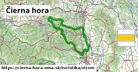 Čierna hora Turistické trasy strom 