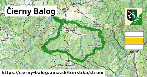 Čierny Balog Turistické trasy strom 
