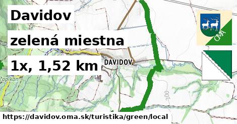 Davidov Turistické trasy zelená miestna