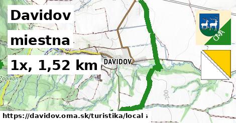 Davidov Turistické trasy miestna 