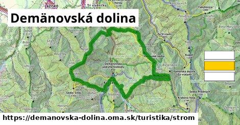 Demänovská dolina Turistické trasy strom 