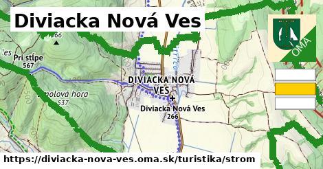 Diviacka Nová Ves Turistické trasy strom 