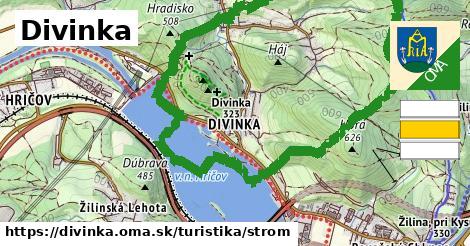 Divinka Turistické trasy strom 