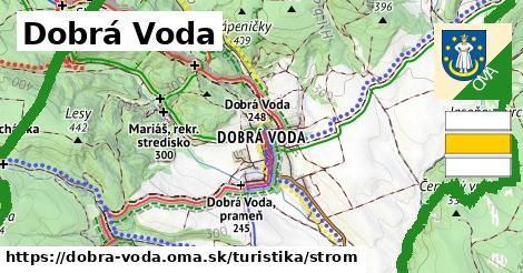 Dobrá Voda Turistické trasy strom 