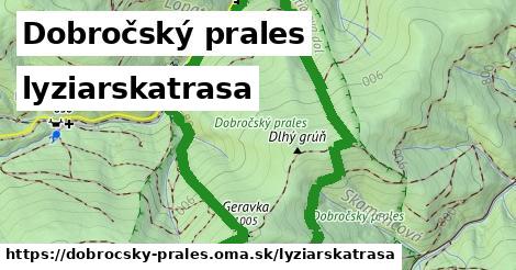Dobročský prales Lyžiarske trasy  