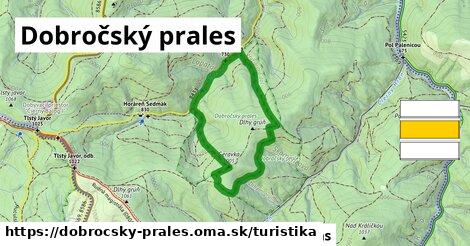 Dobročský prales Turistické trasy  