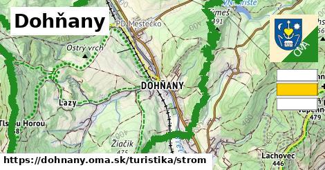 Dohňany Turistické trasy strom 