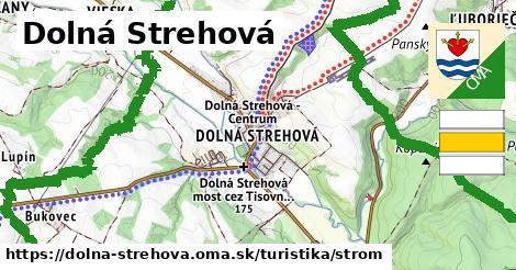 Dolná Strehová Turistické trasy strom 