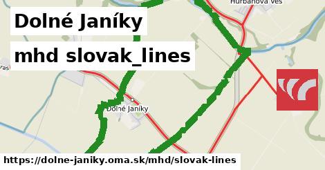 Dolné Janíky Doprava slovak-lines 