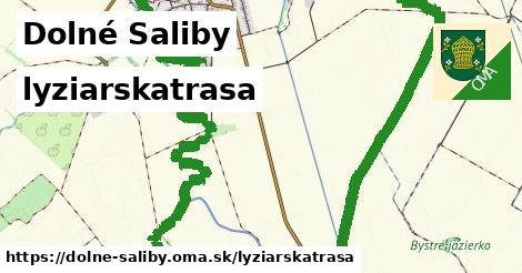 Dolné Saliby Lyžiarske trasy  