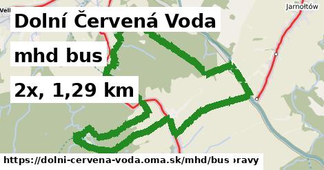 Dolní Červená Voda Doprava bus 