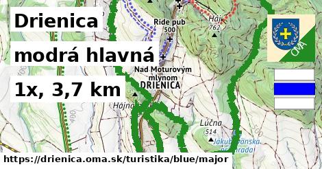 Drienica Turistické trasy modrá hlavná