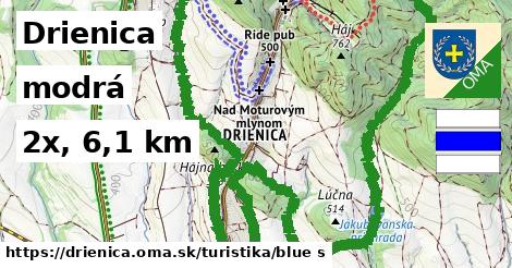 Drienica Turistické trasy modrá 