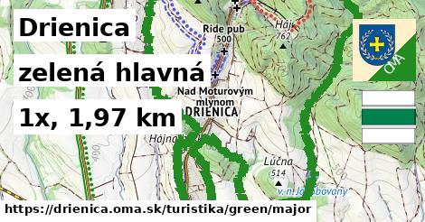 Drienica Turistické trasy zelená hlavná