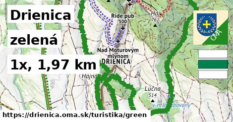 Drienica Turistické trasy zelená 