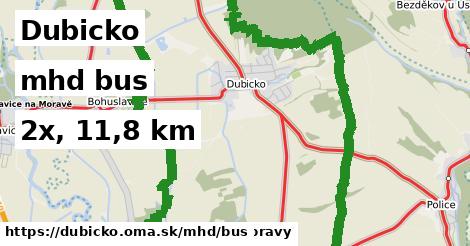 Dubicko Doprava bus 