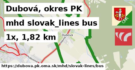 Dubová, okres PK Doprava slovak-lines bus