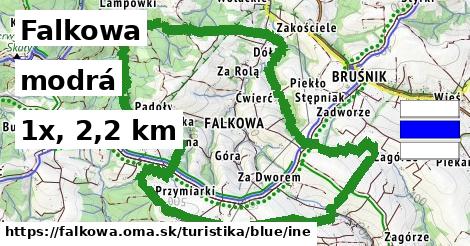 Falkowa Turistické trasy modrá iná