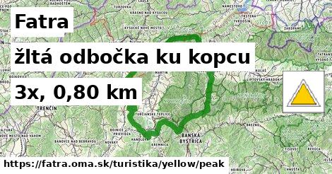 Fatra Turistické trasy žltá odbočka ku kopcu