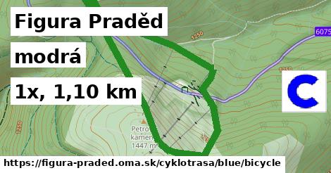 Figura Praděd Cyklotrasy modrá bicycle