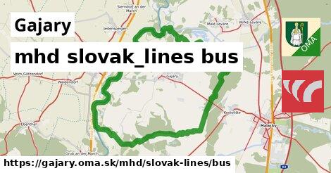 Gajary Doprava slovak-lines bus