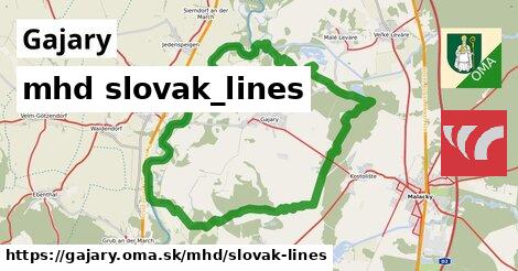 Gajary Doprava slovak-lines 