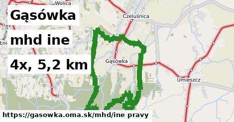 Gąsówka Doprava iná 