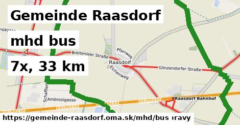 Gemeinde Raasdorf Doprava bus 