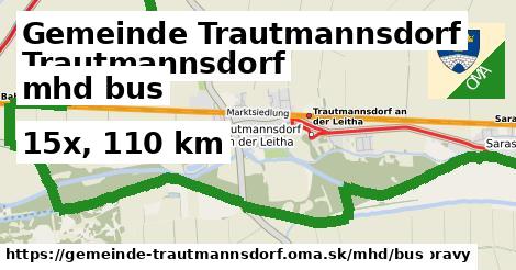 Gemeinde Trautmannsdorf Doprava bus 