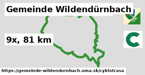 Gemeinde Wildendürnbach Cyklotrasy  