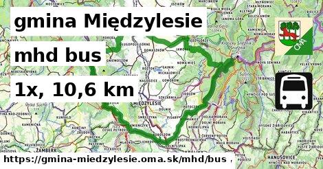 gmina Międzylesie Doprava bus 
